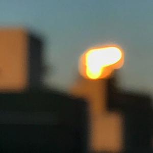 偷情一级二级片
